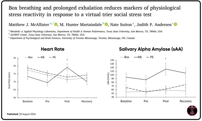 A research paper figure titled 'Box breathing and prolonged exhalation reduces markers of physiological stress reactivity in response to a virtual trier social stress test' showing line graphs for Heart Rate and Salivary Alpha Amylase across Baseline, Pre, Post, and Recovery periods.