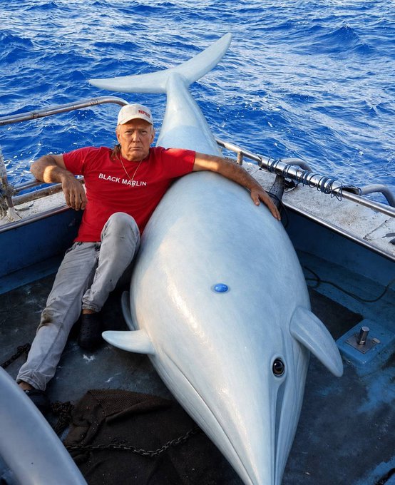 [caption-failed: flagged sensitive]