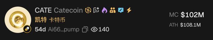 The image shows a cryptocurrency listing for "CATE Catecoin" (凯特卡特币), a 54-day-old token with the contract Ai66...pump, a market cap of $102M, an all-time high of $108.1M, and 140 watchers. This relates to the post by highlighting one of the Chinese trader's successful memecoin calls, illustrating the substantial gains followers could achieve by acting on his onchain calls.