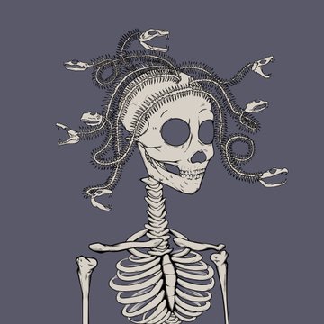 A black and white illustration of a skeleton with Medusa-like snakes emerging from its head on a dark blue background.