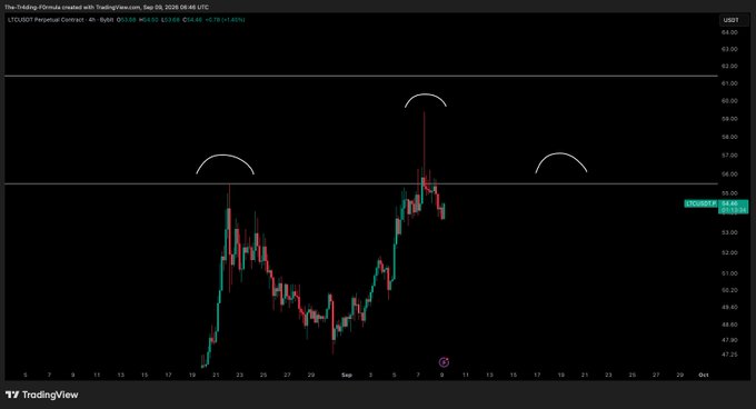 A TradingView chart of LTC/USD Perpetual Contract (4-hour timeframe) on Bybit shows a recent sharp rejection spike near $50 followed by a bearish candle at $49.80, with three curved white lines marking overhead resistance zones that price has failed to break—a setup that visually confirms the post's warning of a potential bearish rejection.