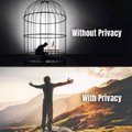 An illustration contrasting 'Without Privacy' (depicting a person trapped in a cage) with 'With Privacy' (showing a person with arms outstretched freely on a mountain).