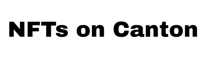 A black and white image with bold black text on a white background reading 'NFTs on Canton'.