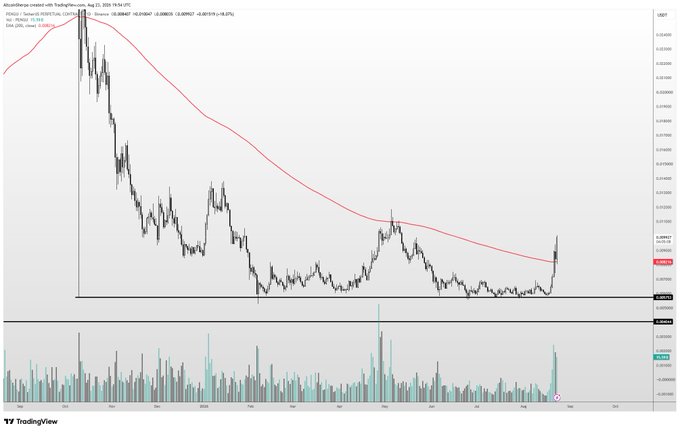 A TradingView chart of the PENGU/USDT trading pair (created with TradingView on Aug 22, 2024) shows a strong recent breakout candle pushing above the 200-day EMA (0.00102) after a prolonged downtrend, with price rising ~29% in 24 hours on significantly elevated volume—visually confirming the poster's claim that $PENGU has flipped its 200d EMA for the first time in over a year.