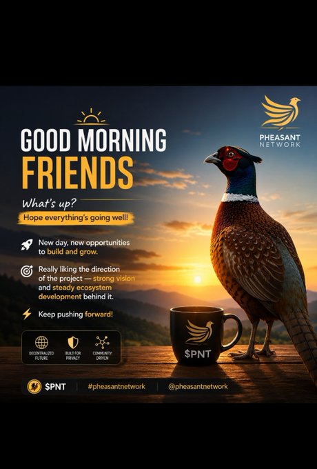 A pheasant stands beside a "$PNT" branded coffee mug against a sunrise backdrop, promoting the Pheasant Network ($PNT) with the message "Good Morning Friends" and hashtags #pheasantnetwork @pheasantnetwork, matching the accompanying motivational post about new opportunities and pushing forward.