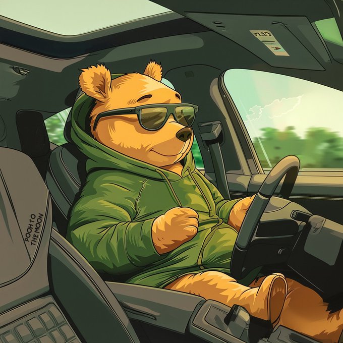 A cartoon illustration of a bear wearing sunglasses and a green hoodie, sitting in the driver's seat of a car.