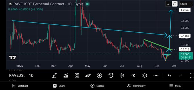 A cryptocurrency trading chart from Bybit showing the 'RAVEUSDT Perpetual Contract' with a daily (1D) timeframe, displaying price action from 2026 through October with technical analysis lines, showing a current price of 0.2066 USDT with a +2.53% gain.