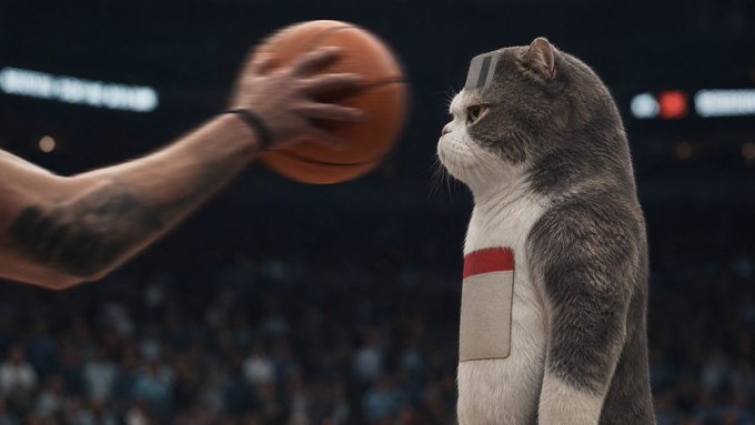 A surreal scene showing a basketball being held by a human hand in the foreground, with a cat standing upright on the right wearing what appears to be sports gear, set in a stadium arena.