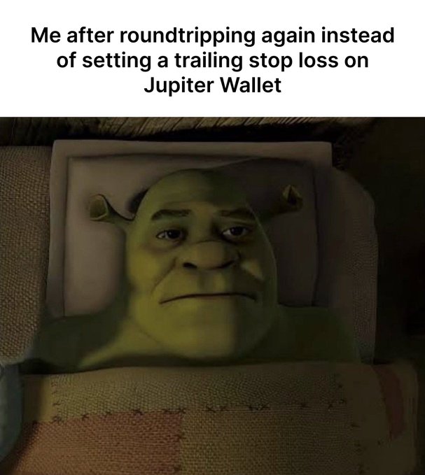 A Shrek meme with text at the top reading "Me after roundtripping again instead of setting a trailing stop loss on Jupiter Wallet".