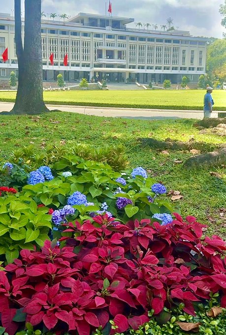 A photograph of Independence Palace (Reunification Palace) in Ho Chi Minh City, Vietnam, with vibrant red poinsettias and blue hydrangeas in the foreground lawn.