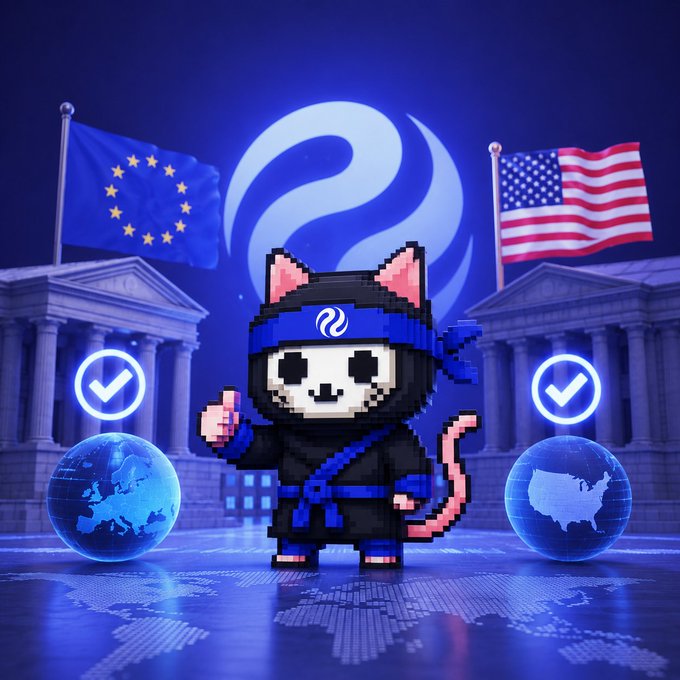 A pixel-art style illustration of a ninja cat character wearing a blue bandana, standing between EU and US flags with government buildings in the background, flanked by check-marked globes showing Europe and the USA, suggesting regulatory or market compliance themes.