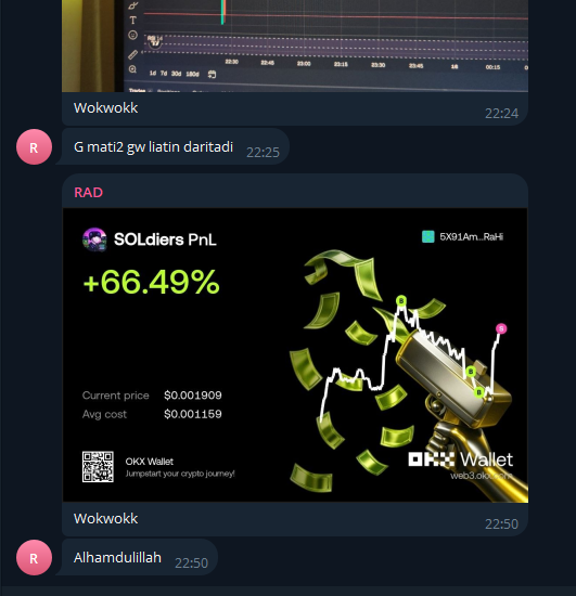 A Telegram chat screenshot showing a wallet's profit and loss dashboard for 'SOLdiers PnL' displaying a +66.49% gain with current and average cost prices, alongside messages in what appears to be Malay.