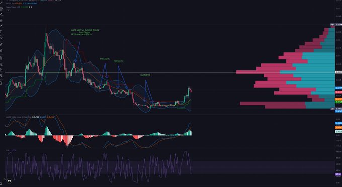 A cryptocurrency trading chart showing MACD and RSI indicators with Bollinger Bands, featuring a visible volume profile histogram on the right side of the screen.