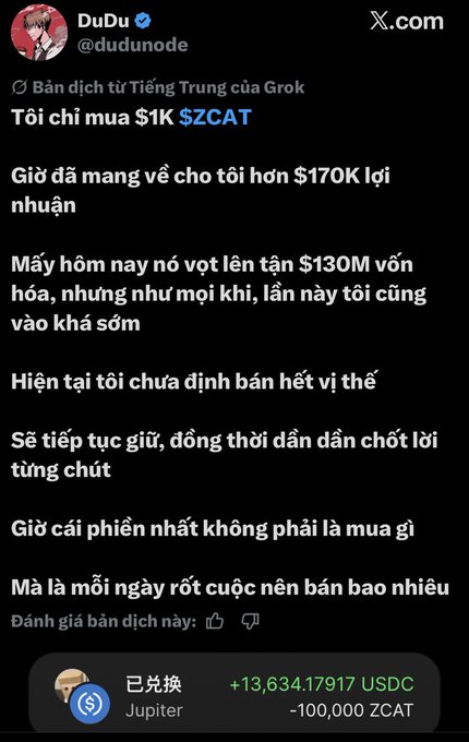 A Vietnamese X (Twitter) post by DuDu (@dudunode) about a translated Grok post discussing buying $1K of $ZCAT, which has brought over $170K profit, with a swap showing +13,634.17917 USDC and -100,000 ZCAT via Jupiter.