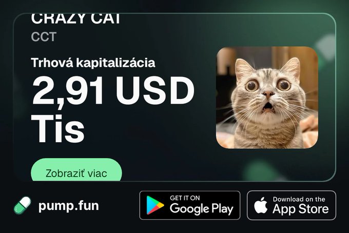 An advertisement for a cryptocurrency called 'CRAZY CAT' (CCT) on pump.fun showing a market capitalization of '2,91 USD Tis' with an image of a surprised cat and Google Play and App Store download buttons.