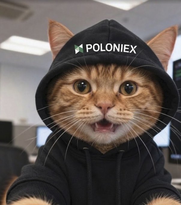 A close-up of an orange tabby cat wearing a black hoodie with the 'POLONIEX' logo and its green logo icon on the front, set against a blurred office background.