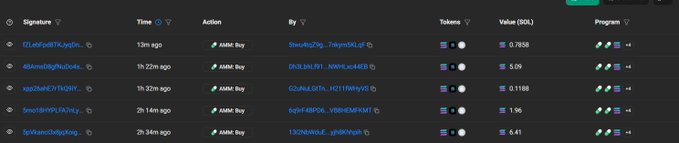 A dark-themed blockchain transaction interface showing recent "AMM buy" activities totaling 20.78 SOL, featuring tokens like $wofl, $SOLNLR1, $HAITIW, and $VIBEWIFHAT, with addresses including 5tuHJZ9g_7a4pxDLqP and 6c2FuN_E6R0E_WIB0EWFAH1, suggesting meme coin trading activity linked to the solscan transaction referenced in the post.
