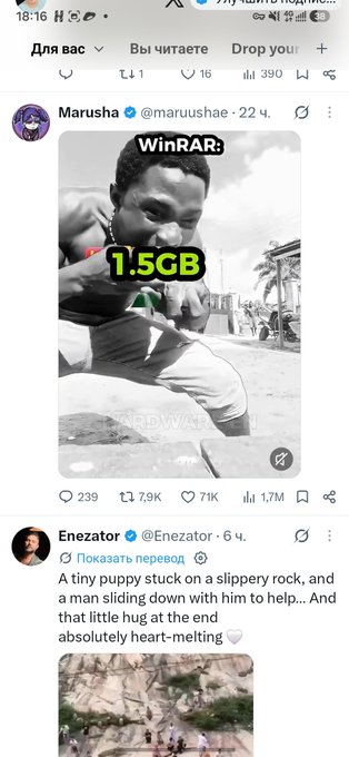 A screenshot of a Twitter feed showing a meme by Marusha (@marushae) with text 'WinRAR: 1.5GB' over an image of a muscular man, followed by a post by Enezator (@Enezator) about a 'tiny puppy stuck on a slippery rock' with 7.9K reposts and 71K likes.