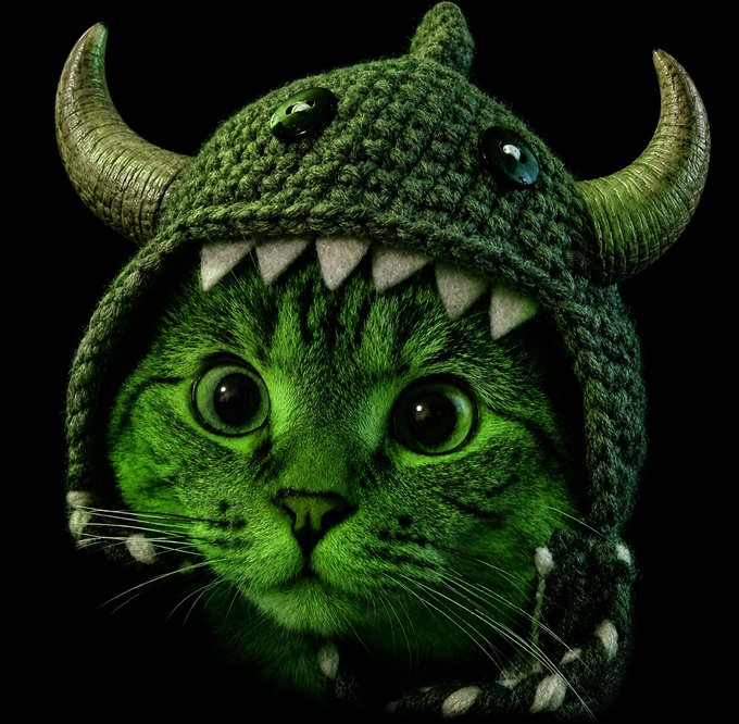 A green tabby cat wearing a crocheted green monster hat with horns and jagged teeth, photographed against a black background.