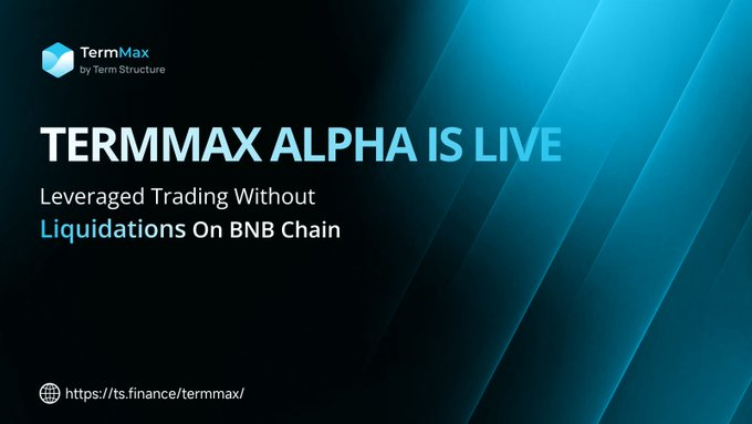A promotional banner announcing "TERMMAX ALPHA IS LIVE" with the tagline "Leveraged Trading Without Liquidations On BNB Chain," featuring the TermMax logo and a link to ts.finance/termmax. The image relates to the post by highlighting TermMax's new BNB Chain launch, which addresses the cross-chain fee concerns mentioned by showcasing leveraged trading with improved capital efficiency.