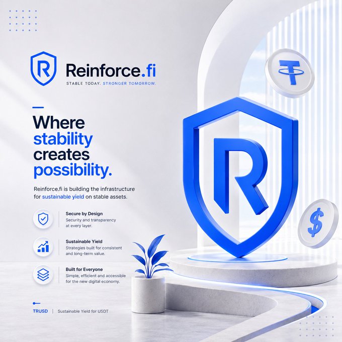 A clean, white-themed promotional graphic for 'Reinforce.fi' with the tagline 'Stable today. Stronger tomorrow.' and 'Where stability creates possibility,' featuring a large blue 'R' shield logo and floating USDT and dollar coins.
