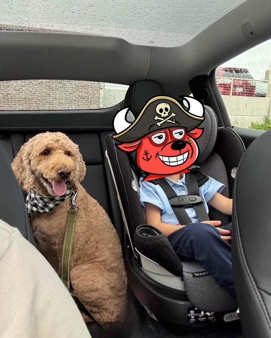 A dog sits next to a child in a car seat, with the child's face obscured by a pirate cartoon filter.