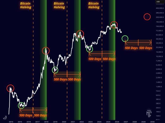 The image is a long-term Bitcoin price chart (2014–2030) on a logarithmic scale, marking three "Bitcoin Halving" events with vertical dashed orange lines and green vertical bands, while highlighting cyclical peaks (red circles) and bottoms (green circles) separated by annotated "500 Days" intervals, with a projected red circle near $200,000 around 2029 indicating the next anticipated cycle peak.