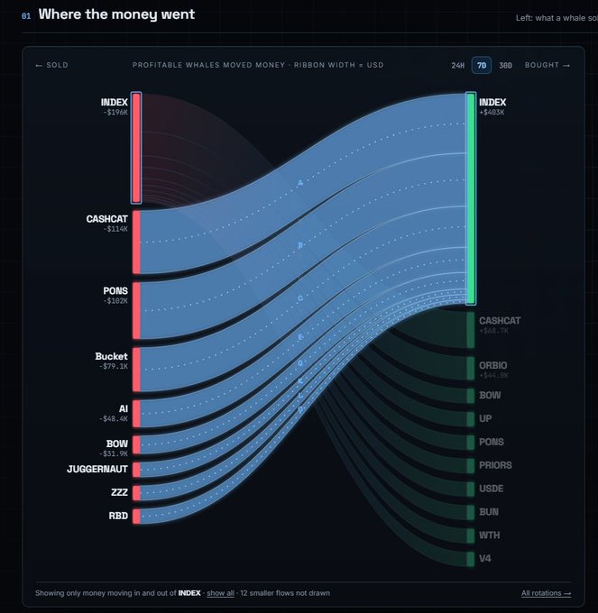 A dark-themed Sankey diagram titled 'Where the money went,' showing profitable whales trading assets including INDEX, CASHCAT, PONS, and Bucket over 7 days.