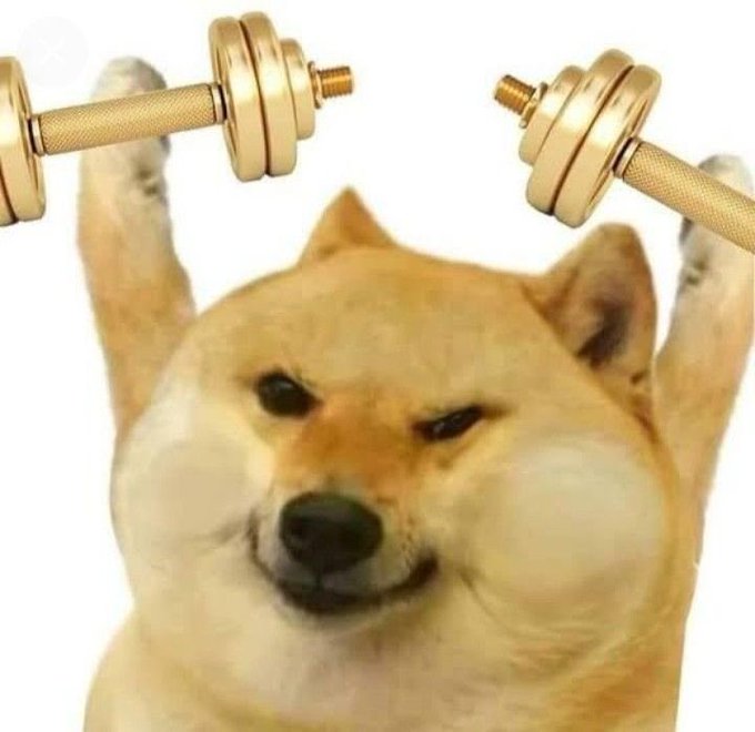 A Shiba Inu meme with photoshopped muscular arms lifting gold dumbbells overhead against a white background.