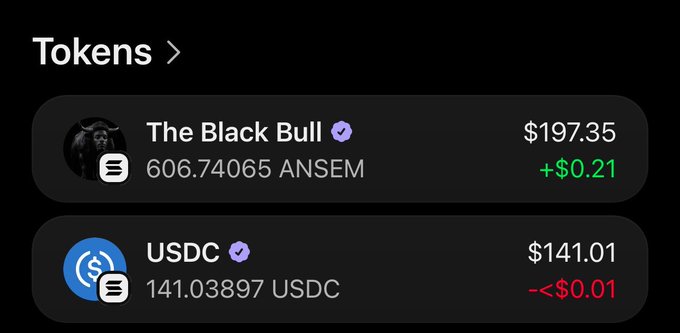 A digital wallet screenshot showing token balances including 'The Black Bull' (ANSEM) at $197.35 (+$0.21) and USDC at $141.01.
