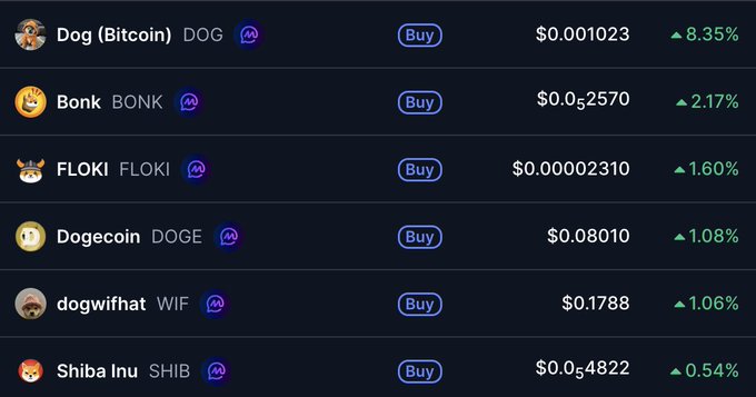 A cryptocurrency price list showing meme coins including Dog (Bitcoin) DOG at $0.001023 (+8.35%), Bonk BONK at $0.0₅2570 (+2.17%), FLOKI at $0.00002310 (+1.60%), Dogecoin DOGE at $0.08010 (+1.08%), dogwifhat WIF at $0.1788 (+1.06%), and Shiba Inu SHIB at $0.0₅4822 (+0.54%).
