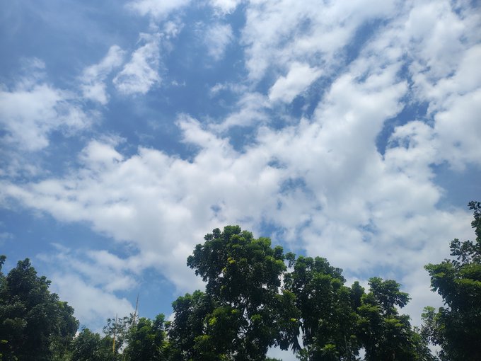 A vibrant blue sky is scattered with white clouds, framed by the green tops of trees at the bottom of the image.