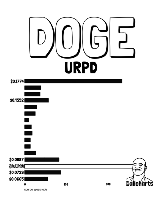 The image is a bar chart titled "DOGE URPD" (showing Unrealized Profit Distribution) with a smiling Wojak-style avatar labeled "@alicharts," plotting various price levels from $0.0365 to $0.1774 against on-chain volume, sourced from Glassnode. The chart visually illustrates the post's point by highlighting $0.081 (circled) as a key support level with relatively low on-chain resistance below the heavily concentrated $0.1774 supply zone, suggesting a clear path upward if that price holds.
