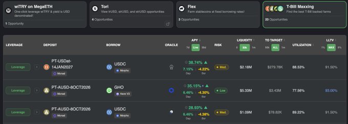A screenshot of a DeFi leverage dashboard with columns for Leverage, Deposit, Borrow, Oracle, APY, Liquidity, Risk, To Target, Utilization, and LTV, showing assets like PT-USDa and PT-AUSD backed by Morpho, plus top opportunities like wITRY, Tori, Flex, and T-Bill Maxxing.