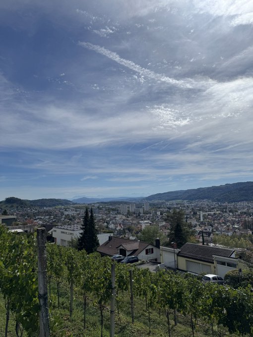 A scenic landscape view from a vineyard overlooking a town with houses, trees, and distant mountains under a blue sky with wispy clouds and an airplane contrail.