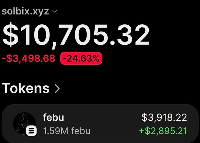 A wallet dashboard on solbix.xyz displays a total portfolio value of $10,705.32, down $3,498.68 (-24.63%), with a holding of 1.59M Febu tokens currently valued at $3,918.22, showing a gain of $2,895.21. The image illustrates the post's claim of significant profits on the $FEBU token, though the portfolio shows an overall decline due to realized gains being taken on sales.