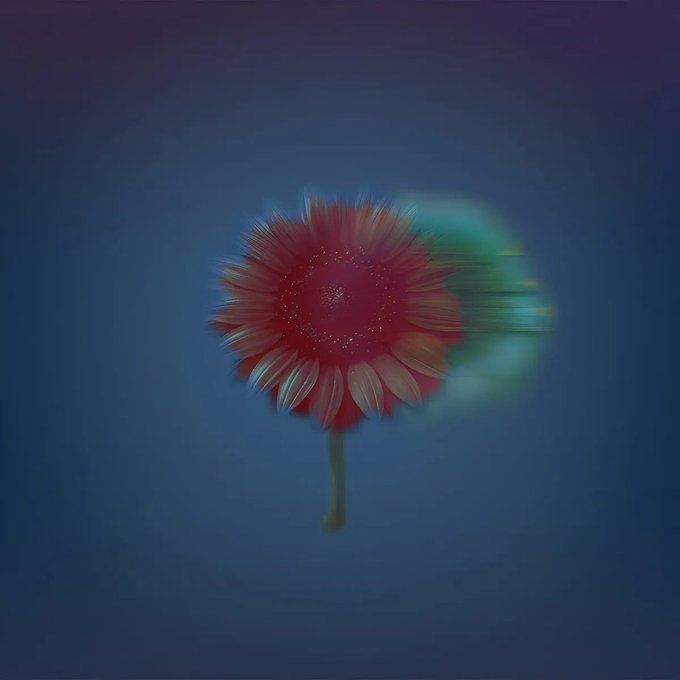 A close-up of a red gerbera daisy flower with a green stem against a dark blue background, featuring motion blur effects on the petals.