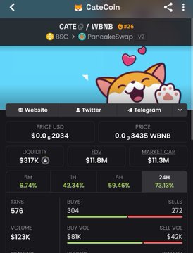 A screenshot of the CateCoin ($CATE) token on PancakeSwap V2 shows a small market cap of $1.3M and liquidity of $317K, with a 6.74% 5-minute price increase—visually reinforcing the post's bullish "BNB SZN INCOMING" sentiment.
