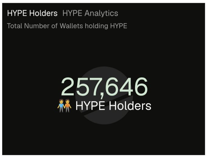 HYPE Holders Analytics screen displaying 'Total Number of Wallets holding HYPE' with the figure 257,646 HYPE Holders.