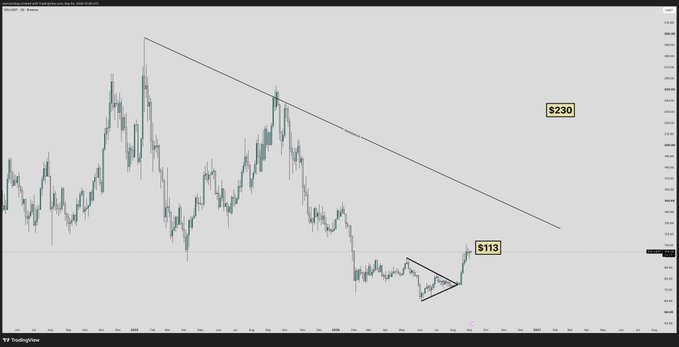 A candlestick chart of Solana (SOL) on TradingView shows a descending trendline from the $230 high down to recent price action forming a wedge pattern near $113, with the post "$200 next for $SOL" suggesting a bullish breakout target above the downtrend resistance.