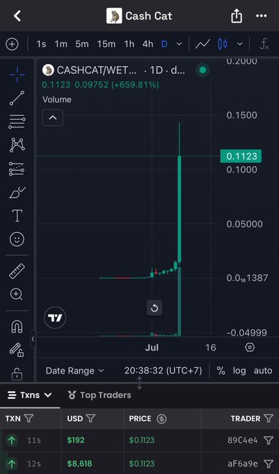 A TradingView chart for the meme token **CASHCAT/WETH** shows a near-vertical pump to **$0.1123 (+659.81%)** on the daily timeframe, ironically illustrating the volatile "bullshit cat on a bullshit chain" rally the post is sarcastically rallying others to chase.
