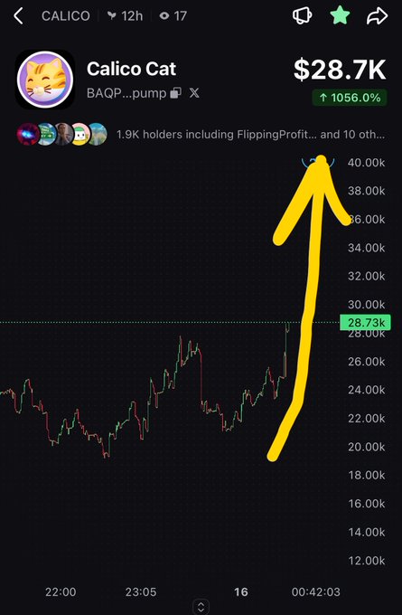 A financial chart showing a massive upward price spike with a yellow arrow, displaying the ticker 'CALICO' priced at $28.7K with a 1056.0% increase.
