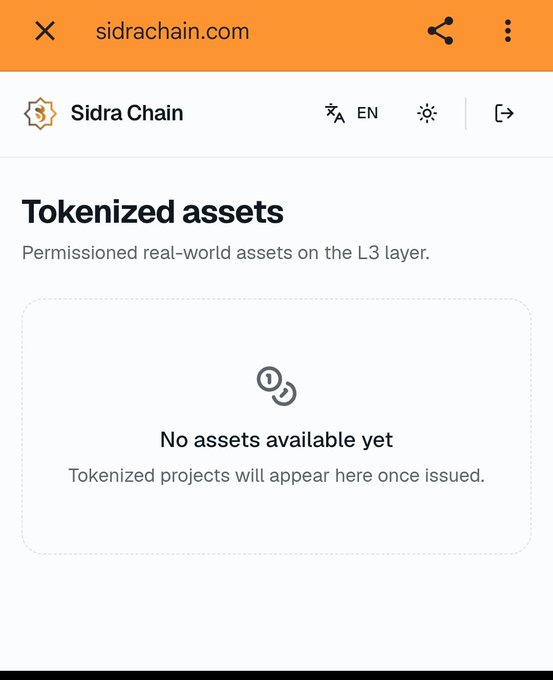 A screenshot of the Sidra Chain website (sidrachain.com) showing a "Tokenized assets" page on the L3 layer that currently displays "No assets available yet," suggesting that despite promises of upcoming developments and real-world asset tokenization, the platform has yet to launch any actual tokenized projects.