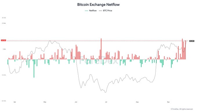 This chart titled "Bitcoin Exchange Netflow" displays daily BTC exchange netflow (color-coded bars) overlaid with BTC Price from April to November, showing elevated red inflows throughout late October with a current value of 14.66K BTC, supporting the post's observation that despite Bitcoin's price breaking higher above the 350-day moving average, exchange inflows remain stubbornly elevated at 14.73K BTC—a contradictory signal suggesting selling pressure persists even as price action turns bullish.