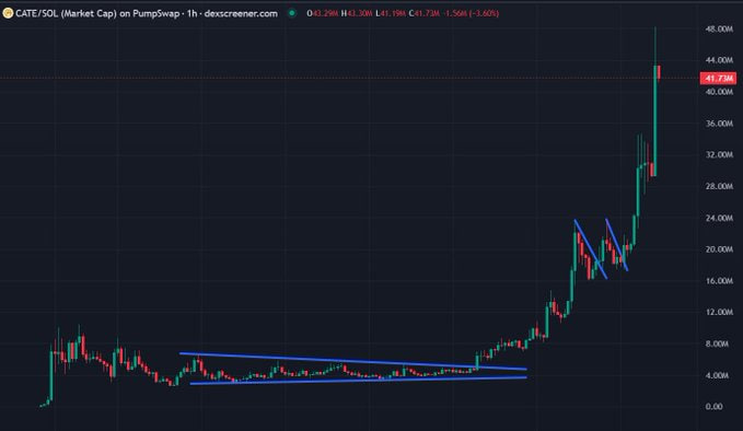 A candlestick chart displays the CATE/SOL (Market Cap) pair on PumpSwap with a 1-hour timeframe on dexscreener.com, showing a price of $41.73M, an all-time high of $43.30M, and a low of $41.19M. The chart illustrates organic growth from under $4M to over $40M market cap within days, with blue trendlines highlighting a multi-month consolidation followed by a breakout and a bull flag pattern, supporting the post's claim of CATE being a rapidly growing memecoin since DOGE.