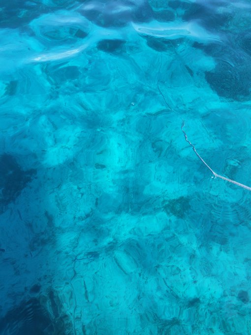 A clear turquoise body of water, likely a sea or pool, revealing rocks and sandy textures beneath the rippling surface.