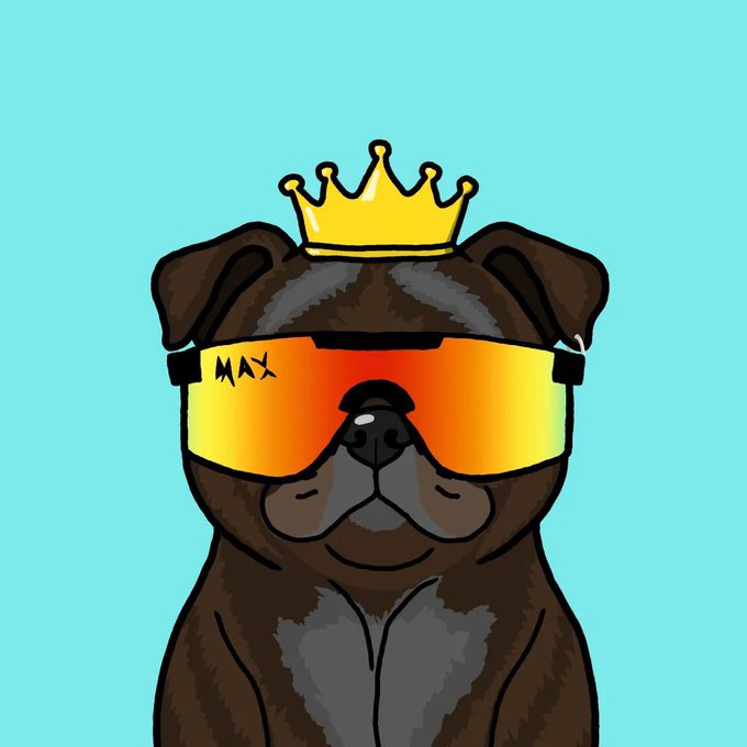 An illustration of a brown pug wearing large reflective orange sunglasses branded with "MAX" and a yellow crown, set against a solid turquoise background.