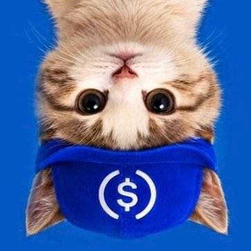 An upside-down kitten wearing a blue face mask displaying a white dollar sign '$' logo, set against a solid blue background.