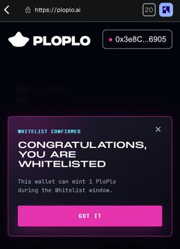 A mobile screenshot from ploplo.ai showing a 'Congratulations, You Are Whitelisted' confirmation message for wallet 0x3e8C...6905 to mint 1 PloPlo during the whitelist window.