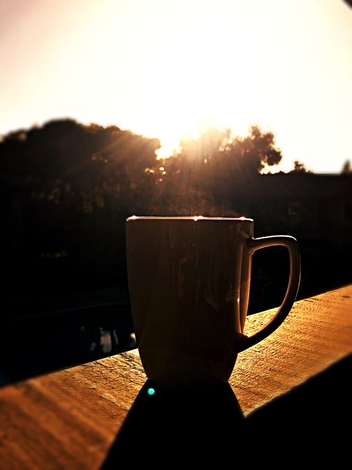 A white coffee mug sits on a wooden ledge silhouetted against a bright golden sunset with trees in the background.
